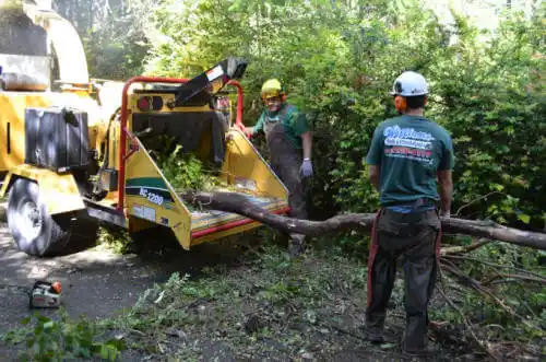 tree services New Virginia